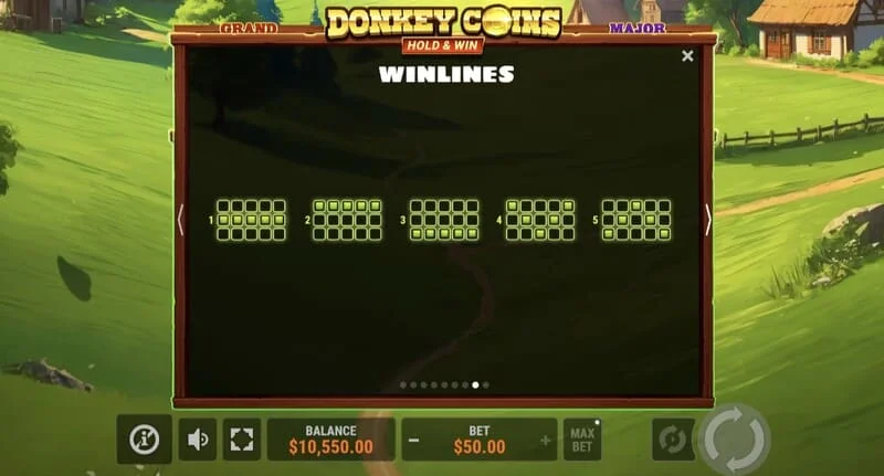 Donkey Coins Hold & Win - বিশেষ মোডে জয়